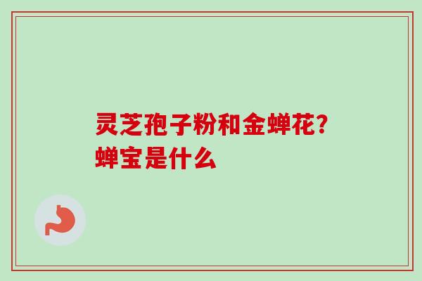 灵芝孢子粉和金蝉花？蝉宝是什么