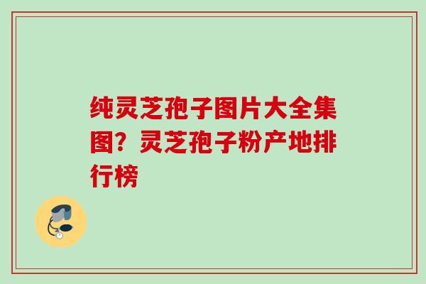 纯灵芝孢子图片大全集图？灵芝孢子粉产地排行榜