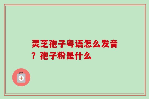 灵芝孢子粤语怎么发音?孢子粉是什么 灵芝孢子粤语怎么发音?孢子粉是什么