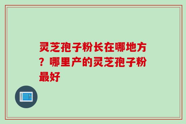 灵芝孢子粉长在哪地方？哪里产的灵芝孢子粉最好