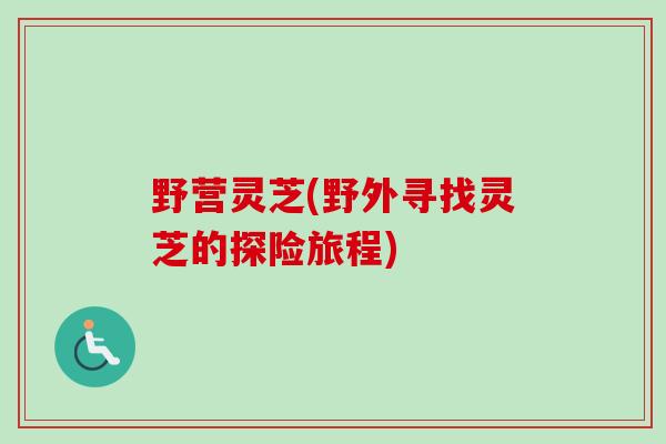野营灵芝(野外寻找灵芝的探险旅程)