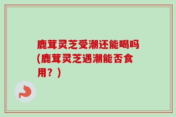 鹿茸灵芝受潮还能喝吗(鹿茸灵芝遇潮能否食用？)