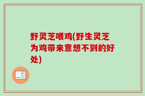 野灵芝喂鸡(野生灵芝为鸡带来意想不到的好处)