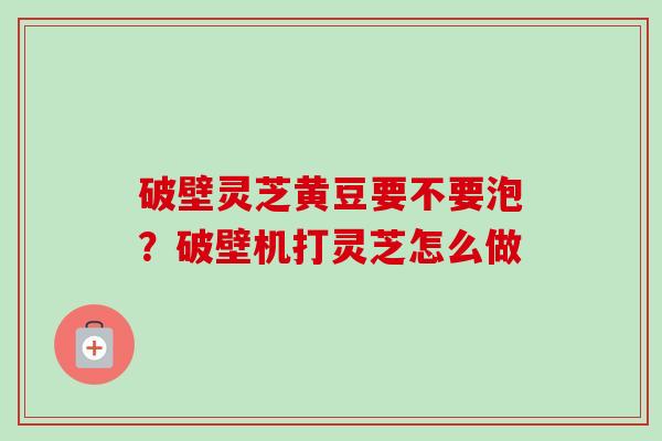 破壁灵芝黄豆要不要泡?破壁机打灵芝怎么做 破壁灵芝黄豆要不要泡?破壁机打灵芝怎么做