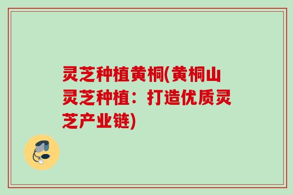 灵芝种植黄桐(黄桐山灵芝种植:打造优质灵芝产业链) 灵芝种植黄桐(黄桐山灵芝种植:打造优质灵芝产业链)