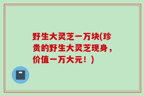野生大灵芝一万块(珍贵的野生大灵芝现身，价值一万大元！)