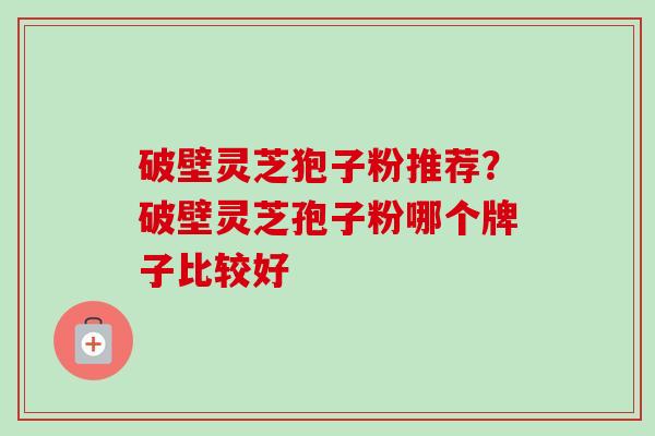 破壁灵芝狍子粉推荐？破壁灵芝孢子粉哪个牌子比较好