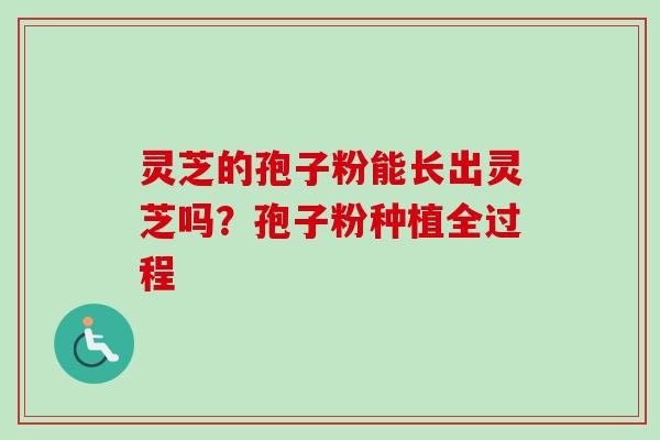 灵芝的孢子粉能长出灵芝吗？孢子粉种植全过程