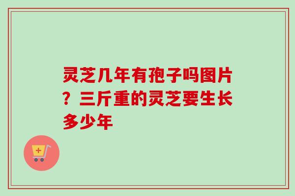 灵芝几年有孢子吗图片？三斤重的灵芝要生长多少年