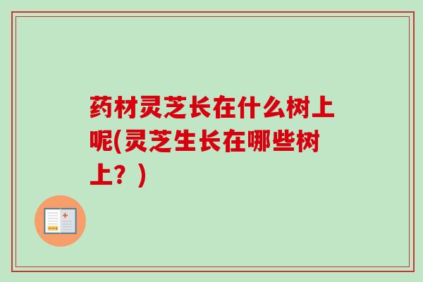 药材灵芝长在什么树上呢(灵芝生长在哪些树上？)