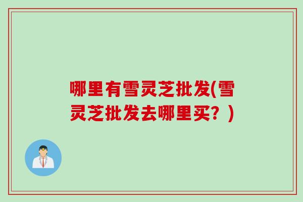 哪里有雪灵芝批发(雪灵芝批发去哪里买？)