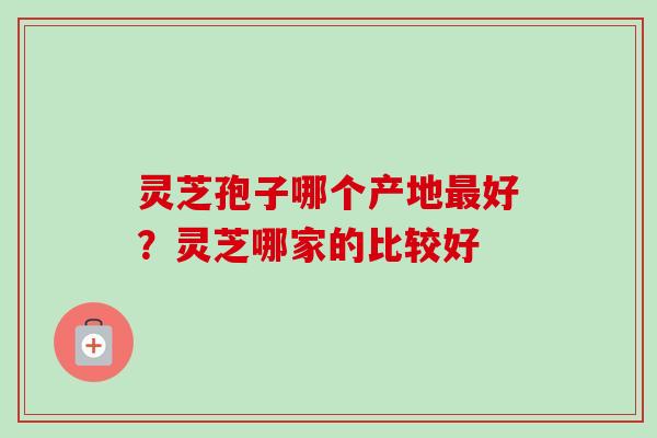 灵芝孢子哪个产地最好？灵芝哪家的比较好