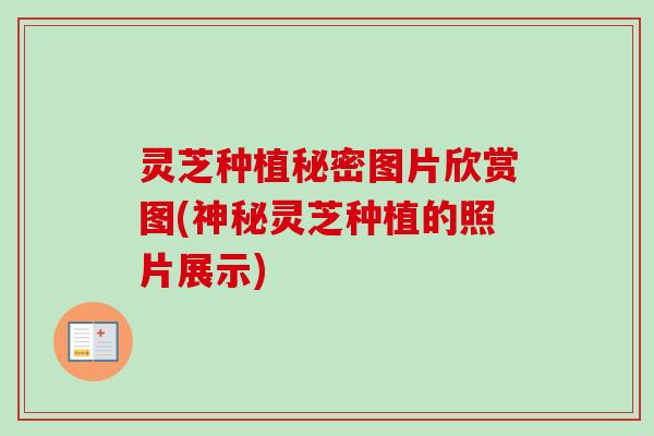 灵芝种植秘密图片欣赏图(神秘灵芝种植的照片展示)