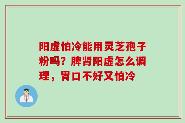 阳虚怕冷能用灵芝孢子粉吗？脾肾阳虚怎么调理，胃口不好又怕冷