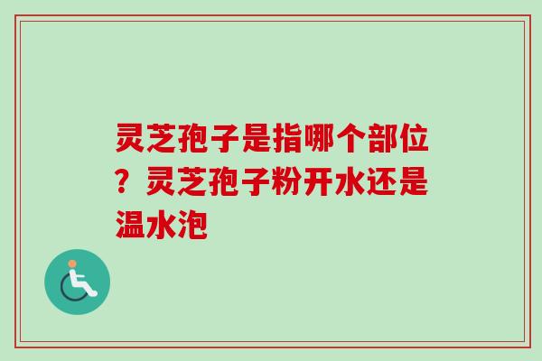 灵芝孢子是指哪个部位？灵芝孢子粉开水还是温水泡