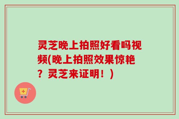 灵芝晚上拍照好看吗视频(晚上拍照效果惊艳？灵芝来证明！)