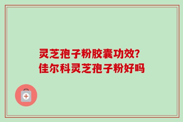 灵芝孢子粉胶囊功效？佳尔科灵芝孢子粉好吗