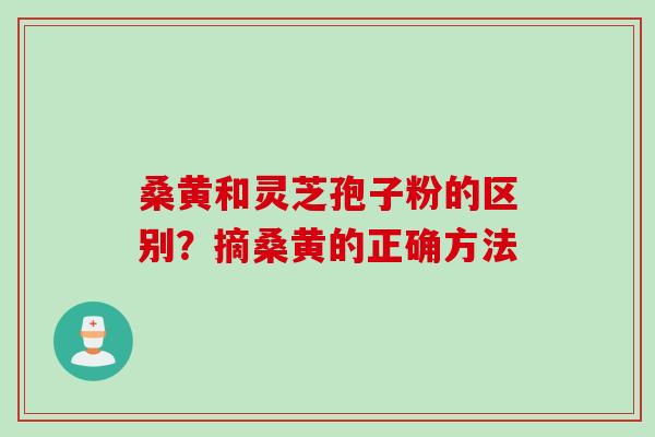 桑黄和灵芝孢子粉的区别？摘桑黄的正确方法