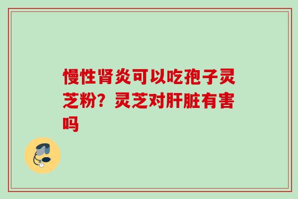慢性炎可以吃孢子灵芝粉?灵芝对有害吗 慢性炎可以吃孢子灵芝粉?灵芝对有害吗