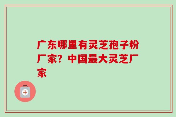广东哪里有灵芝孢子粉厂家？中国大灵芝厂家