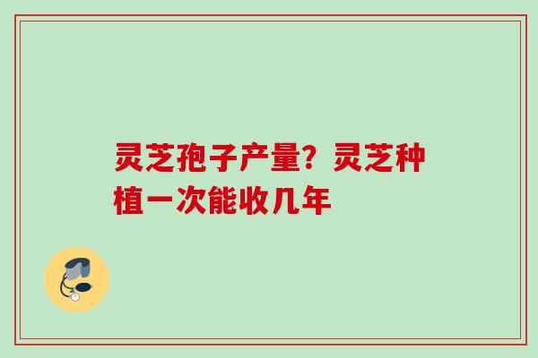 灵芝孢子产量？灵芝种植一次能收几年