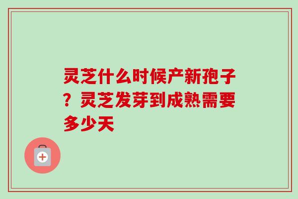 灵芝什么时候产新孢子？灵芝发芽到成熟需要多少天