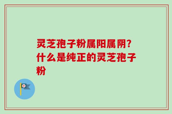 灵芝孢子粉属阳属阴？什么是纯正的灵芝孢子粉