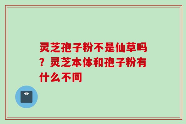 灵芝孢子粉不是仙草吗？灵芝本体和孢子粉有什么不同