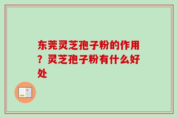 东莞灵芝孢子粉的作用？灵芝孢子粉有什么好处