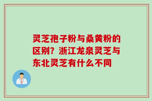 灵芝孢子粉与桑黄粉的区别？浙江龙泉灵芝与东北灵芝有什么不同