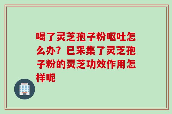喝了灵芝孢子粉呕吐怎么办？已采集了灵芝孢子粉的灵芝功效作用怎样呢