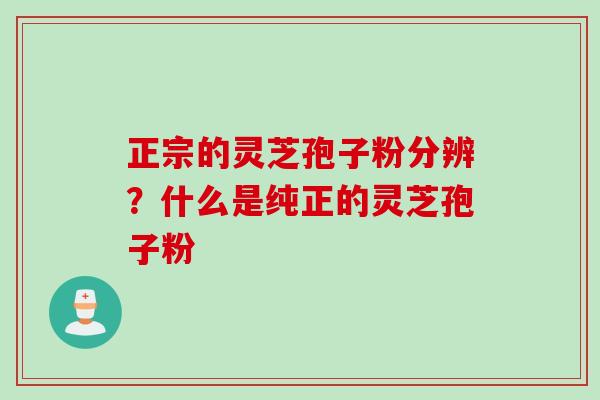 正宗的灵芝孢子粉分辨？什么是纯正的灵芝孢子粉