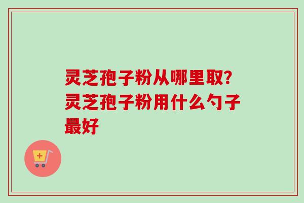 灵芝孢子粉从哪里取？灵芝孢子粉用什么勺子最好