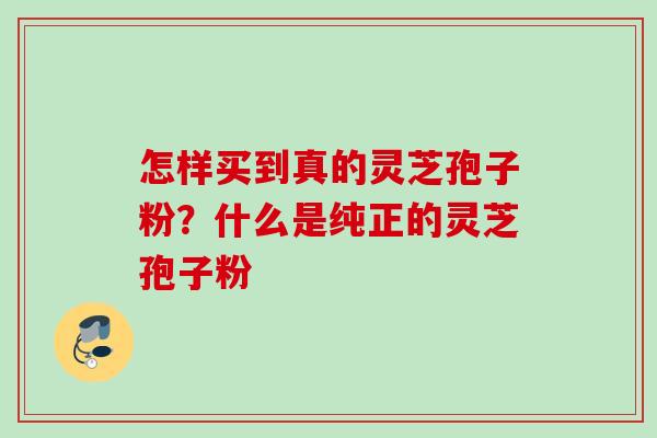 怎样买到真的灵芝孢子粉？什么是纯正的灵芝孢子粉
