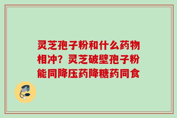 灵芝孢子粉和什么药物相冲？灵芝破壁孢子粉能同降压药降糖药同食