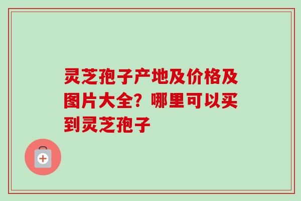 灵芝孢子产地及价格及图片大全?哪里可以买到灵芝孢子 灵芝孢子产地及价格及图片大全?哪里可以买到灵芝孢子