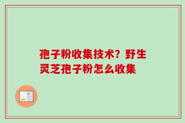 孢子粉收集技术?野生灵芝孢子粉怎么收集 孢子粉收集技术?野生灵芝孢子粉怎么收集