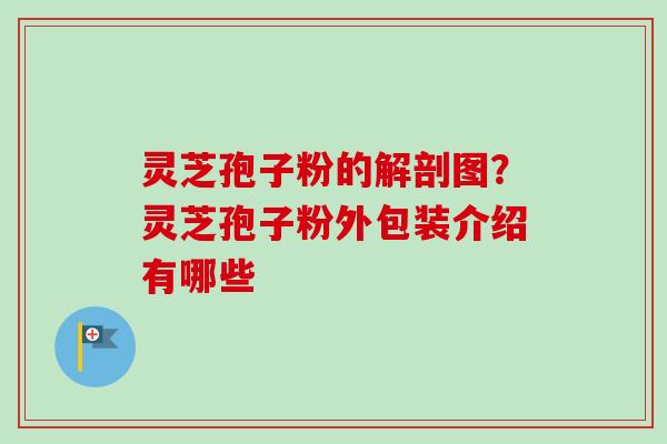 灵芝孢子粉的解剖图？灵芝孢子粉外包装介绍有哪些