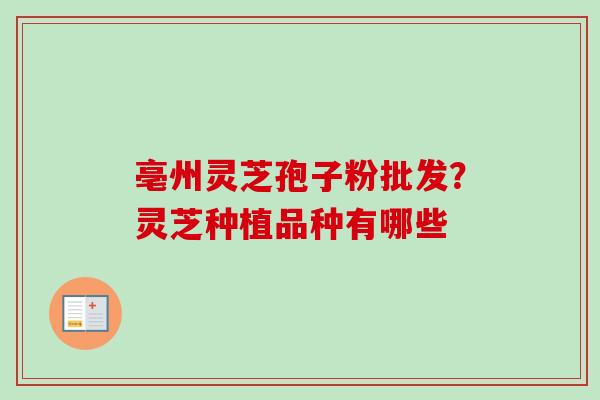 亳州灵芝孢子粉批发?灵芝种植品种有哪些 亳州灵芝孢子粉批发?灵芝种植品种有哪些