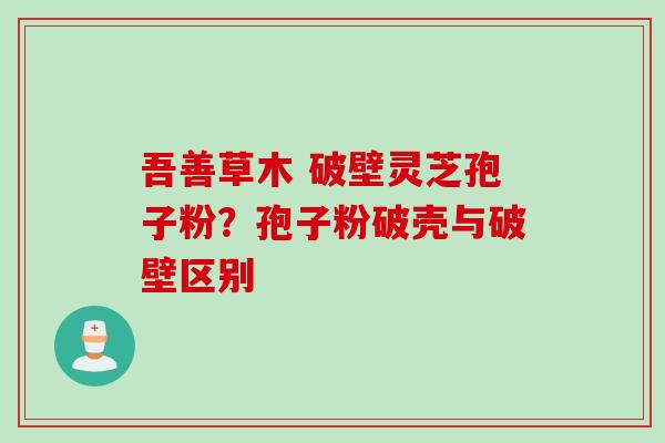 吾善草木 破壁灵芝孢子粉？孢子粉破壳与破壁区别