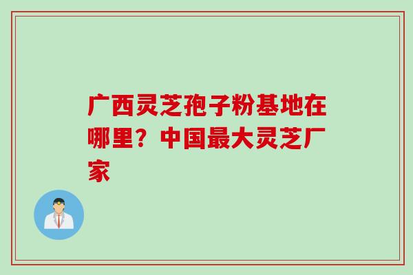 广西灵芝孢子粉基地在哪里？中国最大灵芝厂家