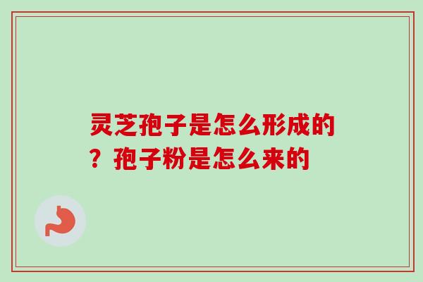灵芝孢子是怎么形成的？孢子粉是怎么来的