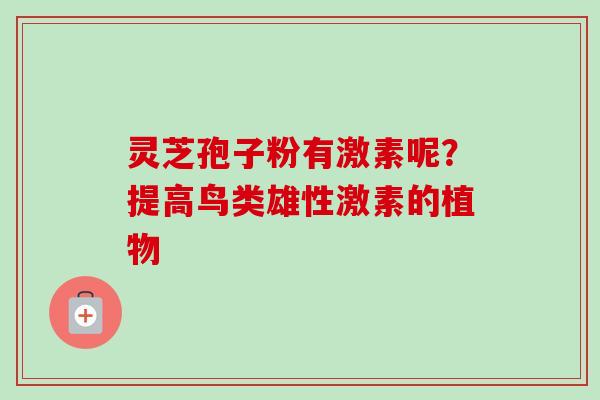 灵芝孢子粉有激素呢？提高鸟类雄性激素的植物