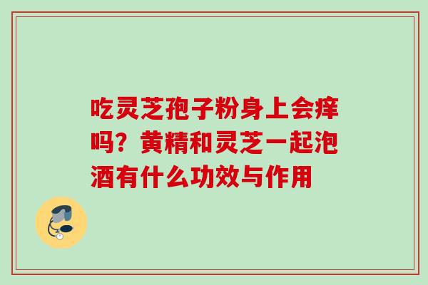 吃灵芝孢子粉身上会痒吗？黄精和灵芝一起泡酒有什么功效与作用