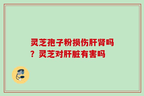 灵芝孢子粉损伤肝肾吗？灵芝对肝脏有害吗