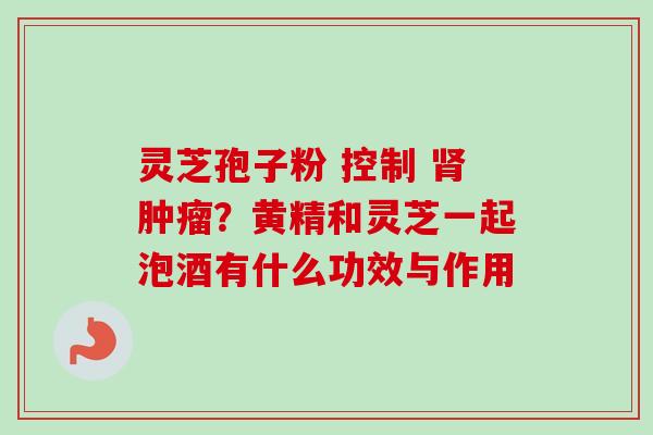 灵芝孢子粉 控制 肾肿瘤？黄精和灵芝一起泡酒有什么功效与作用