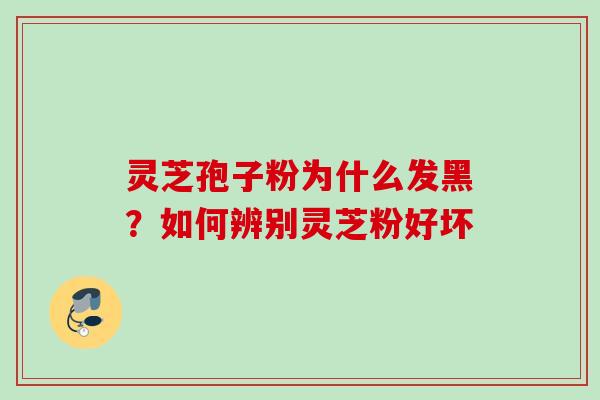 灵芝孢子粉为什么发黑？如何辨别灵芝粉好坏