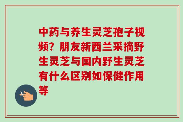 中药与养生灵芝孢子视频？朋友新西兰采摘野生灵芝与国内野生灵芝有什么区别如保健作用等