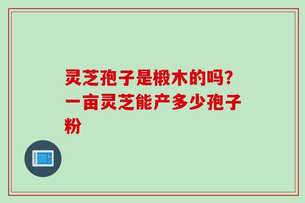 灵芝孢子是椴木的吗？一亩灵芝能产多少孢子粉