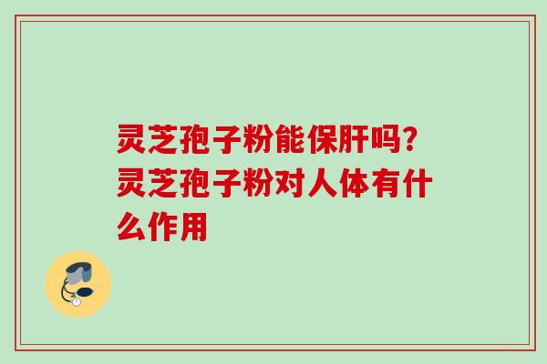 灵芝孢子粉能保肝吗？灵芝孢子粉对人体有什么作用